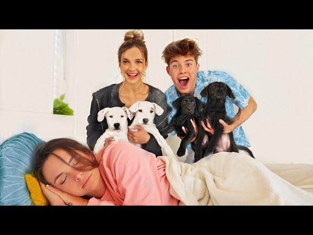 SURPRISING BESTFRIEND WITH PUPPIES!!