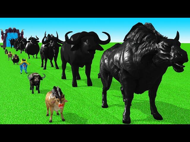 Paint Animals Cow Cartoon,Buffalo,Bull,yak,Ox,Fountain Crossing Animal Game into Shadow Animals Its