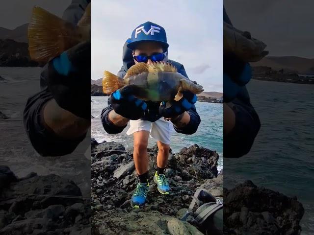 FVF® - Fuerteventura Fishing. Amazing colour for the bomb! LUCA BANDIERI #fuerteventura #fishing