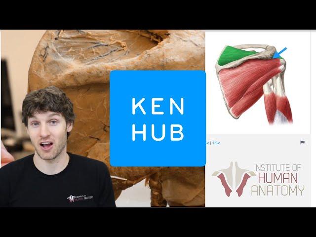 The BEST Way to Study Human Anatomy | An In Depth Look at the Kenhub Anatomy Platform