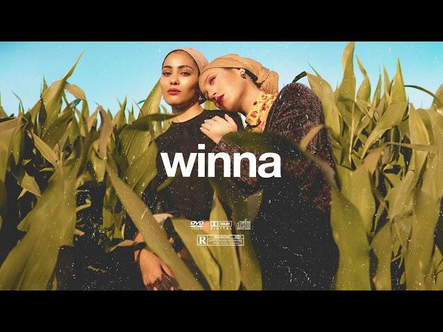 (FREE) | "Winna" | B Young x Odeal x Tiwa Savage Type Beat | Free Beat | Afrobeat Instrumental 2024