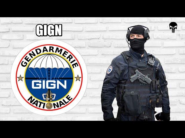 Стрелковое оружие французского спецназа GIGN