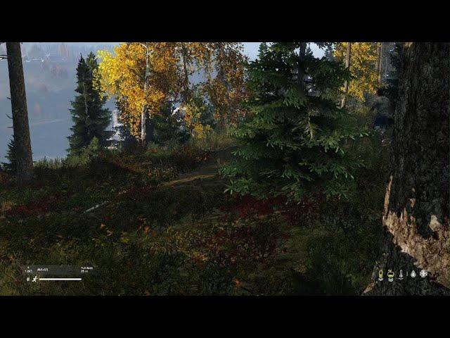 DayZ lag switch