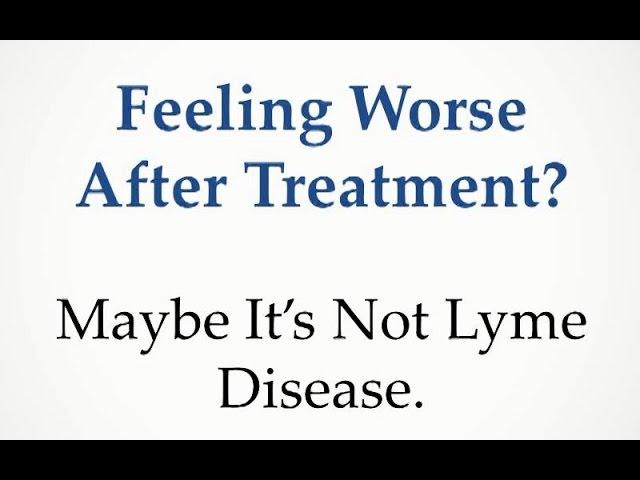 Feeling Worse After Treatment? Maybe It’s Not Lyme Disease