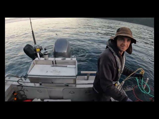 BLUEFIN TUNA fishing in Fiordland New Zealand