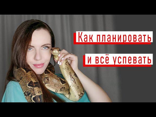 Как планировать, чтобы всё успевать | Ариада - психолог со змеями