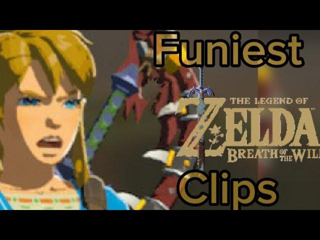 Entertaining Botw Clips!