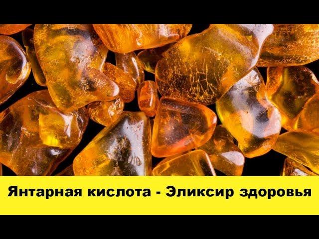 Янтарная кислота - Эликсир здоровья