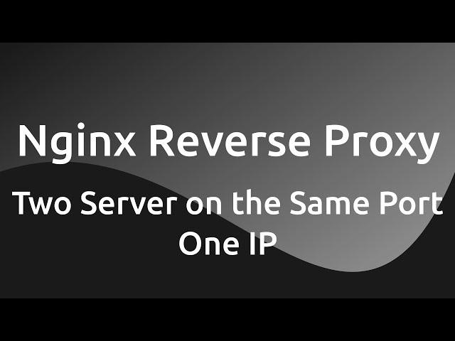 Nginx Reverse Proxy Set Up ( Multiple Server On The Same Port One IP )