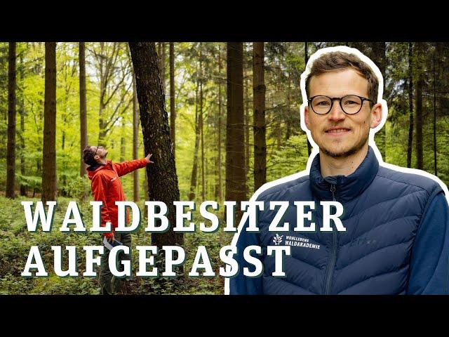 Wald gekauft! Förster erklärt, worauf man achten muss