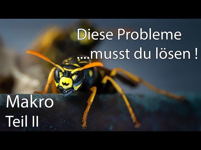 Makro für Anfänger Crashkurs Teil 2  Zu wenig Schärfentiefe, zu wenig Licht, zu hohe ISO ???