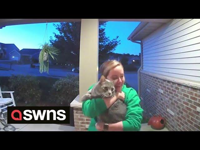 Doorbell cam captures emotional moment cat owner is reunited with lost pet | SWNS