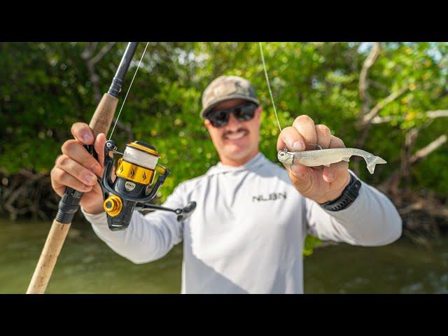 Grouper, Snook, Redfish, Sheepshead while Camping and Fishing the Florida Everglades!