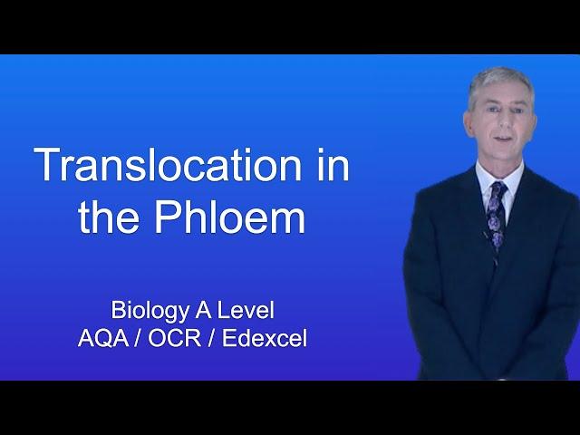 A Level Biology Revision "Translocation in the Phloem"