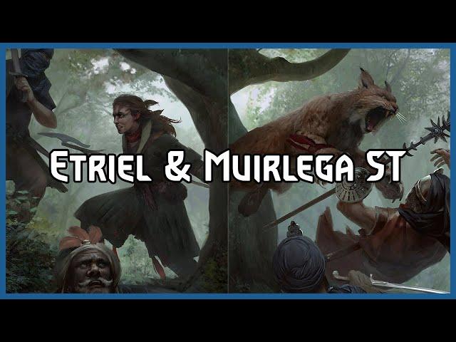 Etriel Muirlega in ST Devotion Schirru | Gwent Pro Rank Gameplay