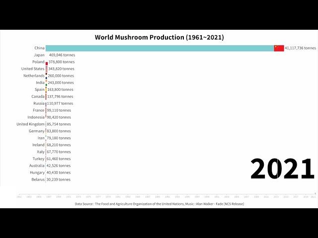 World Mushroom Production (1961~2021)