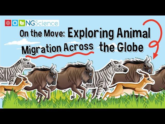 On the Move: Exploring Animal Migration Across the Globe
