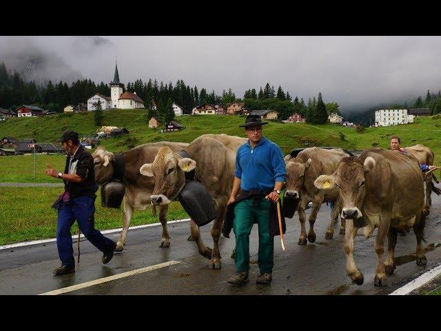 Bodäfahrt Urnerboden 2018