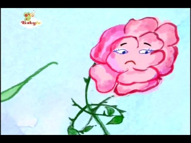 babytv Rose and carnation (From chomikuj)