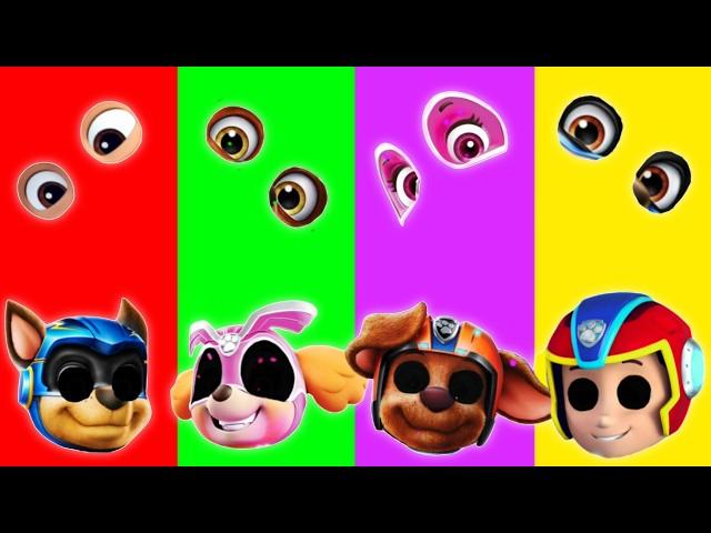 Wrong eyes challenge DAME TU COSITA Paw Patrol Funny Puzzle Wrong Heads