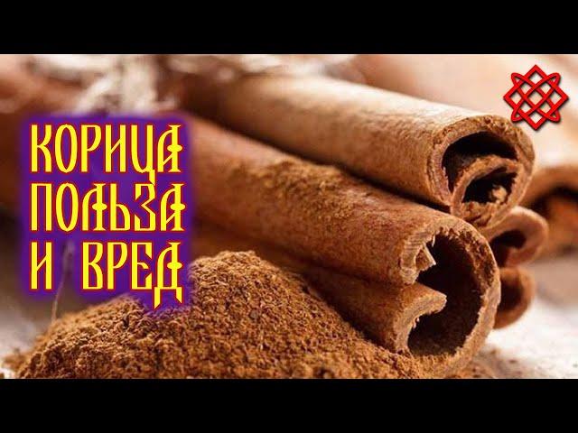 Cinnamon benefits and harm. The healing properties of cinnamon and contraindications