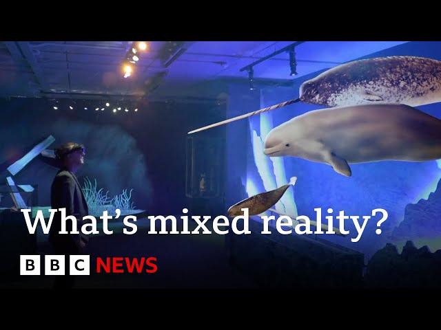 What a 'mixed reality' experience tells us about the future of the natural world | BBC News