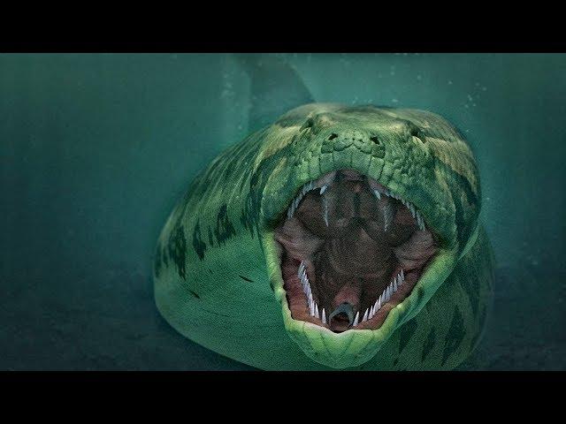 Титанобоа - Гигантская Змея, Которая Терроризировала Мир
