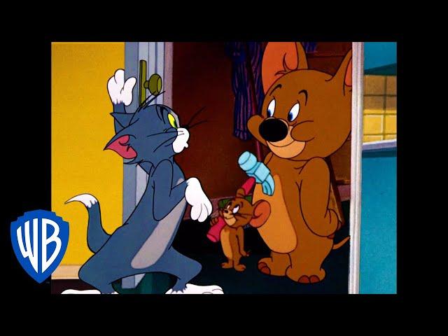 Tom y Jerry en Español | Atrápame si puedes | WB Kids