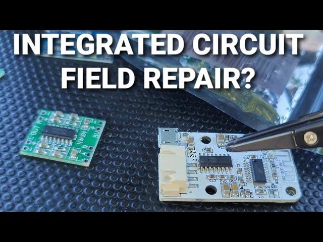 PAM8403 integrated circuit replacement at the park.