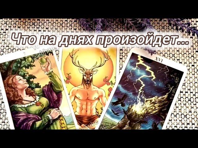 ЧТО НА ДНЯХ ПРОИЗОЙДЁТ? ️ Гадание Таро