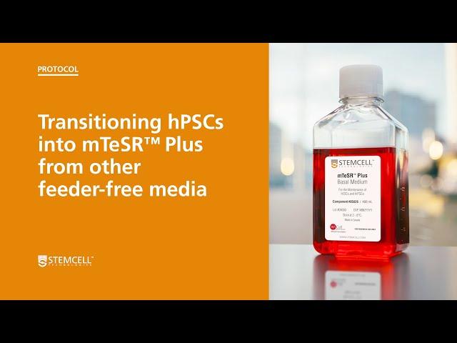 How to Transition Human Pluripotent Stem Cells into mTeSR™ Plus from Other Feeder-Free Media