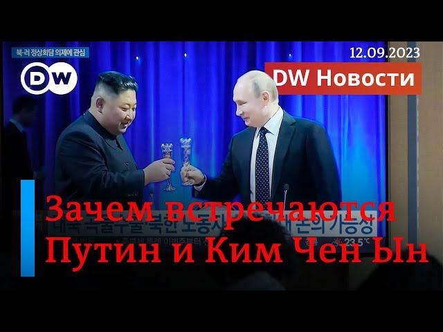 Встреча Путина и Ким Чен Ына: что привез для Кремля бронепоезд из Пхеньяна? DW Новости (12.09.2023)