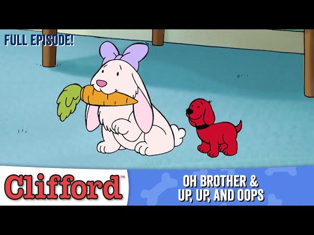 Puppy Days  - Oh Brother | Up, Up & Oops (HD - Full Episodes)