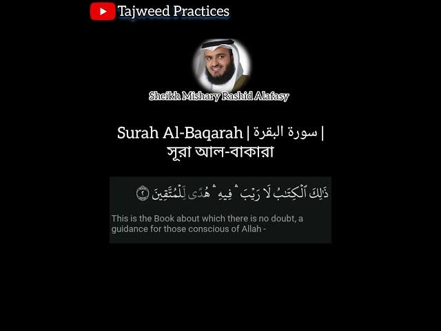 Surah Baqarah ayat 2 | Mishary Rashid Alafasy | سورة البقرة آية ٢