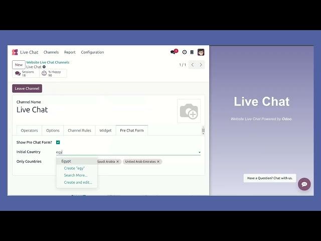 Odoo Live Chat - Pre Chat Form - v18