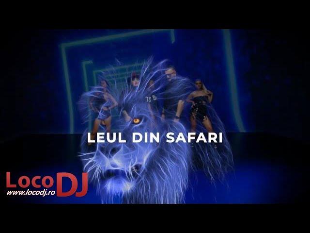 LocoDJ & Deejay Killer feat Rodica Olariu - Leul din Safari (official)