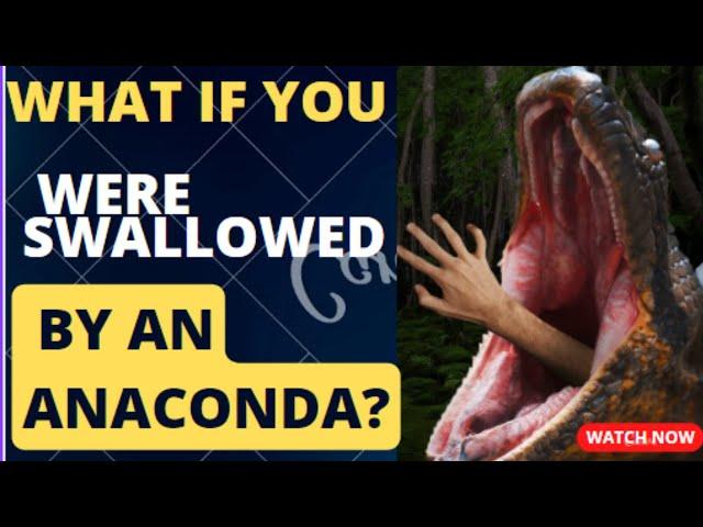What If You Were Swallowed by an Anaconda ?