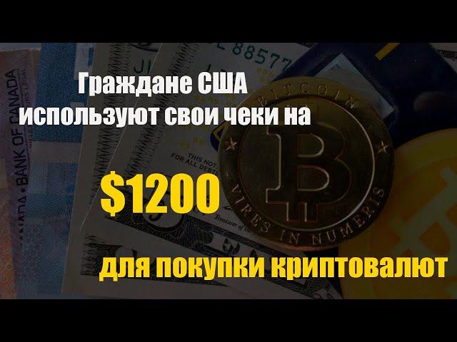 ​​Граждане США используют свои чеки в $1200 для покупки криптовалют | Exmo.ru