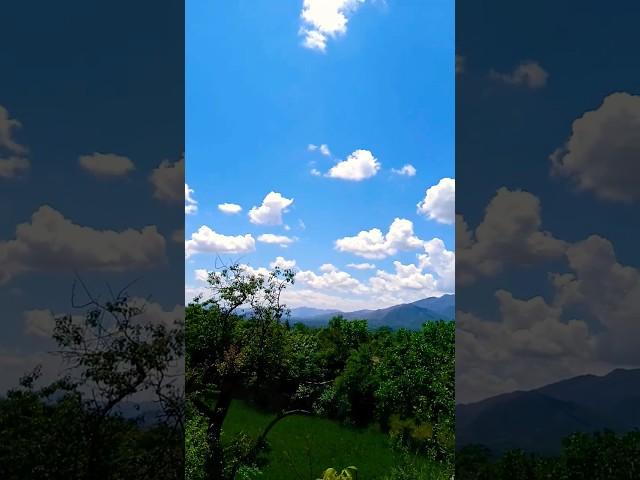 Beautiful Bajaur | khyber pakhtunkhwa #shortvideo