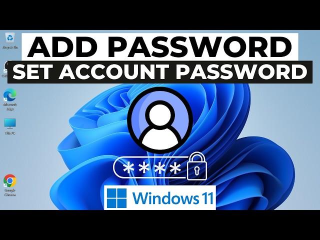 How to Set Password on Windows 11 2024