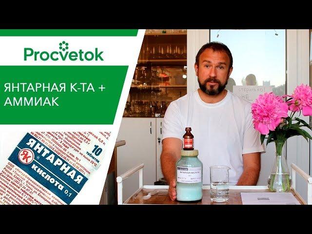 Янтарная кислота для подкормки растений. Готовим усиленный раствор!