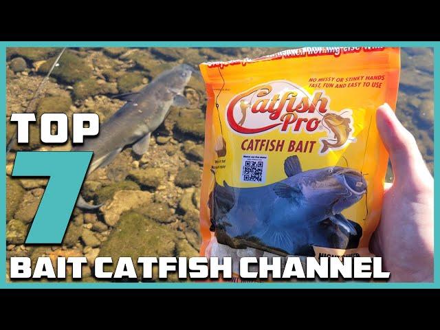 Master the Water: 7 Proven Baits for Channel Catfish Success