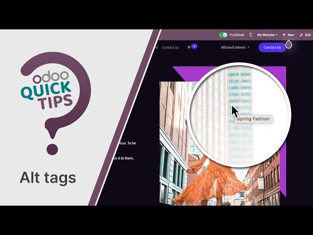 Odoo Quick Tips -  Descriptions and Alt tags on images [Website]