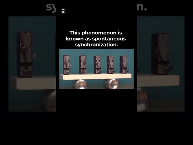 The Mind-Blowing Science of Spontaneous Synchronization!  #shorts #science