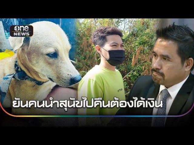 สุดเซ็ง! ช่วยตามหาหมาหาย เจ้าของเบี้ยวจ่าย 5 หมื่น | ข่าวเย็นช่องวัน | สำนักข่าววันนิวส์