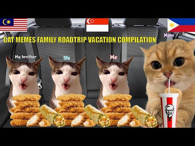 CAT MEMES Family Vacation Trip Compilation Full