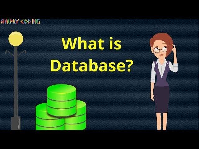 What is Database