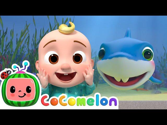 Baby Shark plays Hide and Seek! CoComelon  Moonbug Kids - Learning Corner