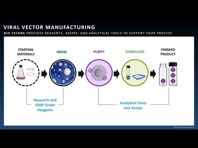 Modernize Your Gene Therapy Analytics with Automated Tools from Bio Techne