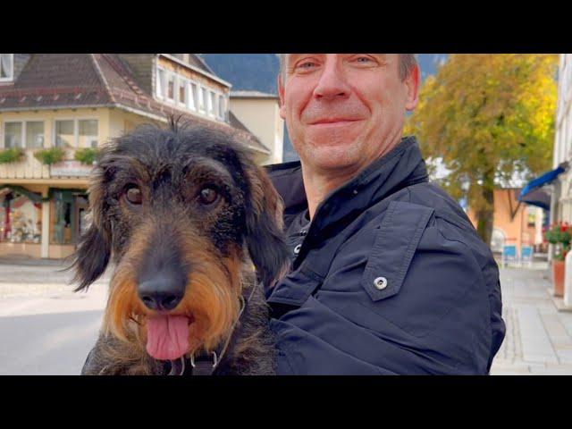 Dachshund Teddy takes a spontaneous bath in Oberammergau  #TeddyTheDachshund